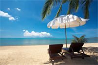 Paradis fiscaux : 25 500 milliards d'€ à l'ombre des cocotiers ! 