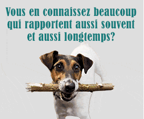 Cetelem : vous en connaissez beaucoup qui rapportent aussi souvent et aussi longtemps ?