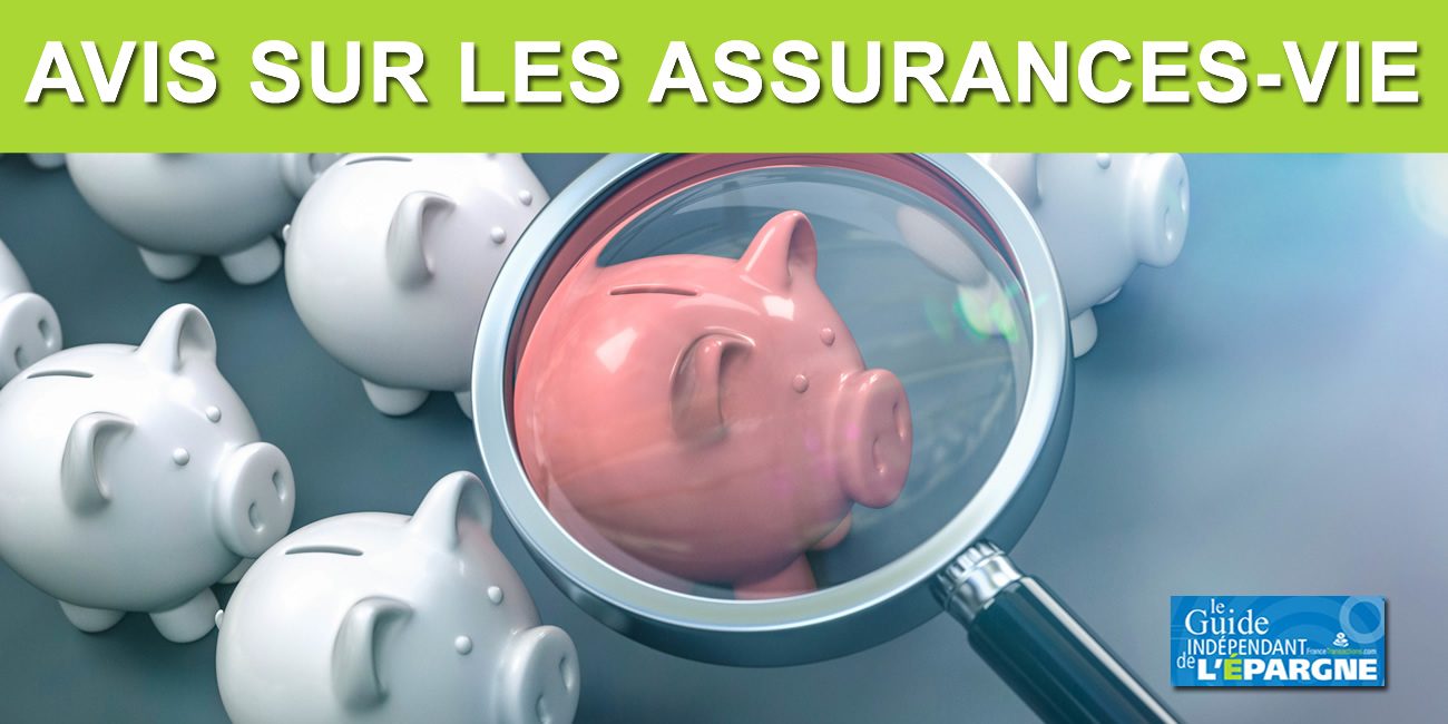 Avis Internautes Sur Les Contrats D Assurance Vie Comparatifs