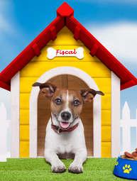 Loi de Finances 2017 : un peu de ménage dans les petites taxes et niches fiscales Loi de Finances 2017 : un peu de ménage dans les petites taxes et niches fiscales