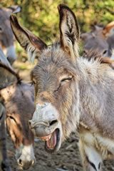 Bruno Le Maire qualifie d'ânerie la théorie du ruissellement