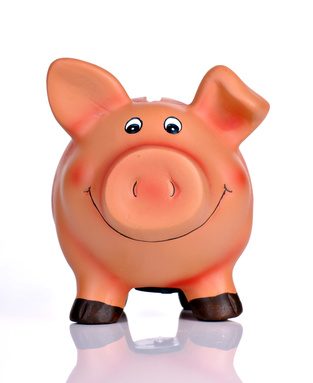 Livret Epargne : Comment obtenir 230 € de primes en plaçant, sans risque, 16 000 € ?