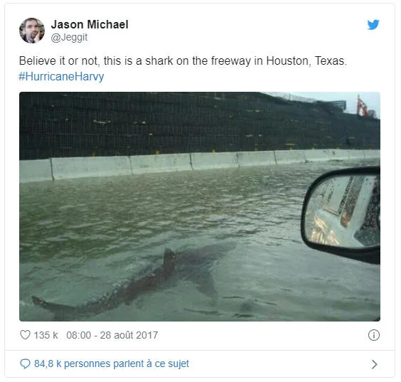 Fake news - photo truquée d’un requin nageant dans la rue après un ouragan, Houston, Texas , USA