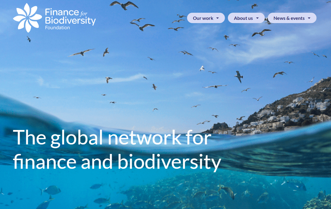 Site Internet Finance for Biodiversity Foundation