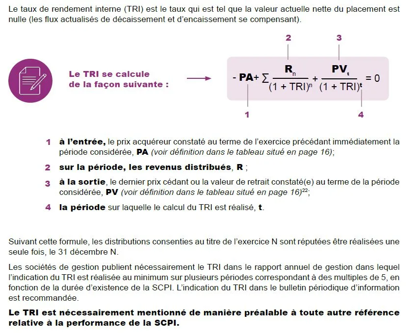 Taux de Rendement Interne (TRI)