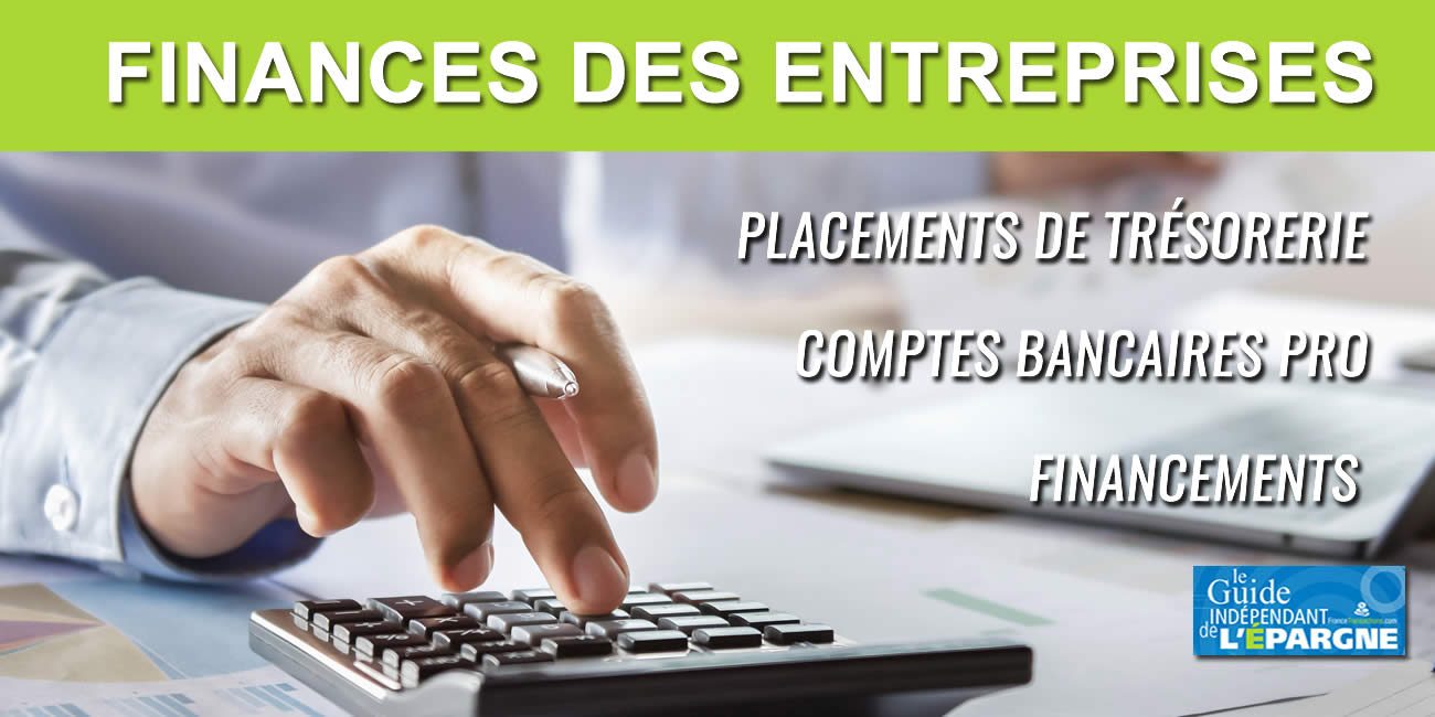 Entreprises / Personnes morales