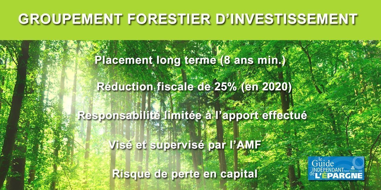 Investissement forestier : nouvelle acquisition d'une forêt dans le Cantal pour France Valley Investissement forestier : nouvelle acquisition d'une forêt dans le Cantal pour France Valley