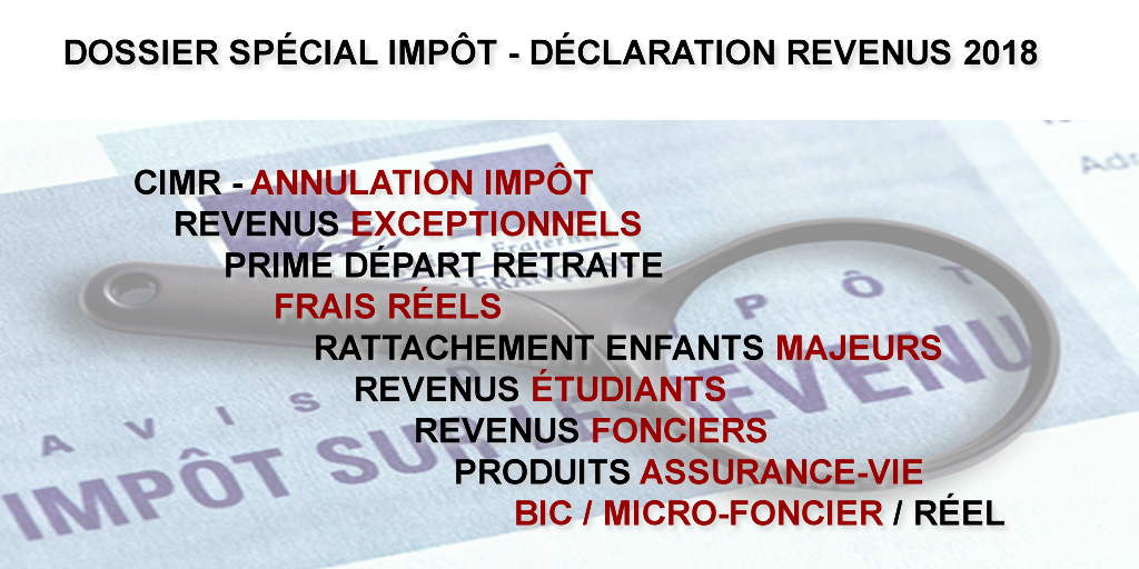 Dossier spécial impôt 2019 : déclaration des revenus 2018 & année blanche fiscale Dossier spécial impôt 2019 : déclaration des revenus 2018 & année blanche fiscale