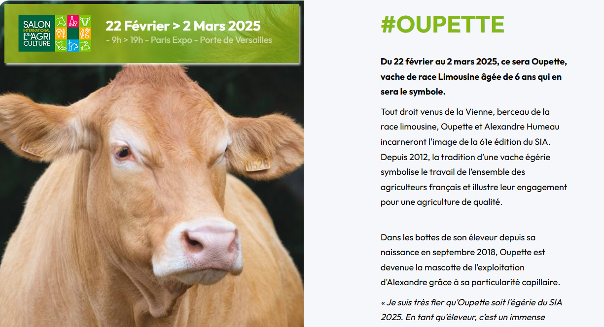 Salon de l'Agriculture 2025 : le prix des billets d'entrée est élevé, mais les Français adorent Salon de l'Agriculture 2025 : le prix des billets d'entrée est élevé, mais les Français adorent