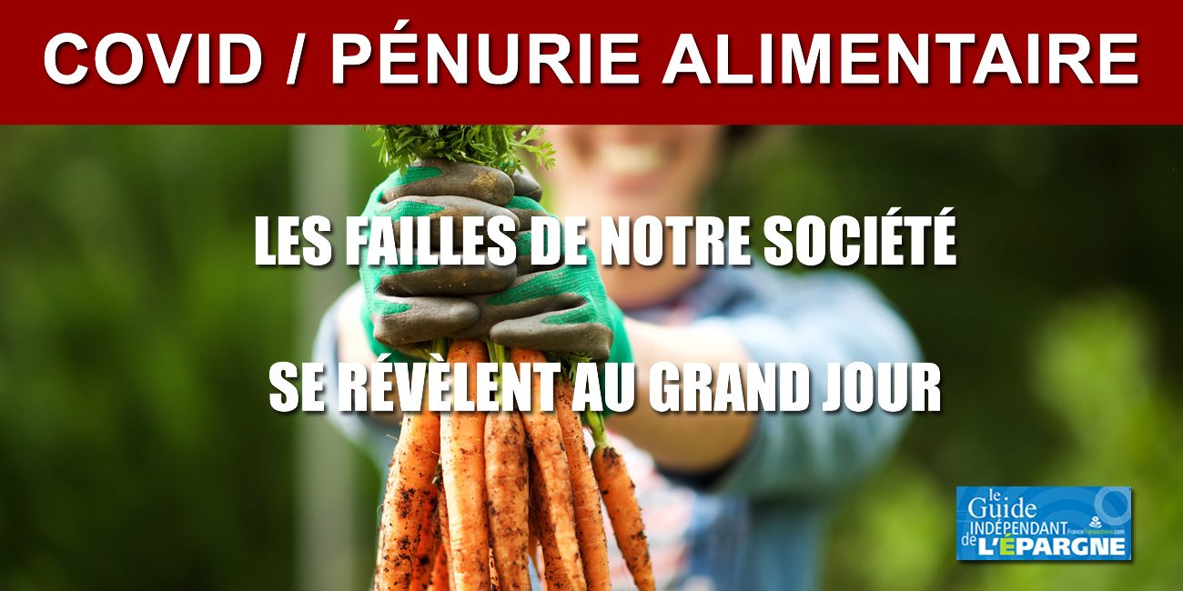 COVID/ Pénurie alimentaire de produits agricoles en Ile de France, une faille de plus de notre société