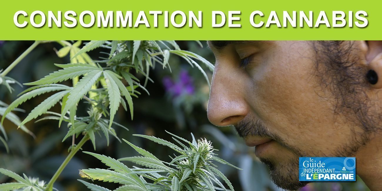200 euros d'amende pour consommation de cannabis à partir du 1er septembre 2020 200 euros d'amende pour consommation de cannabis à partir du 1er septembre 2020