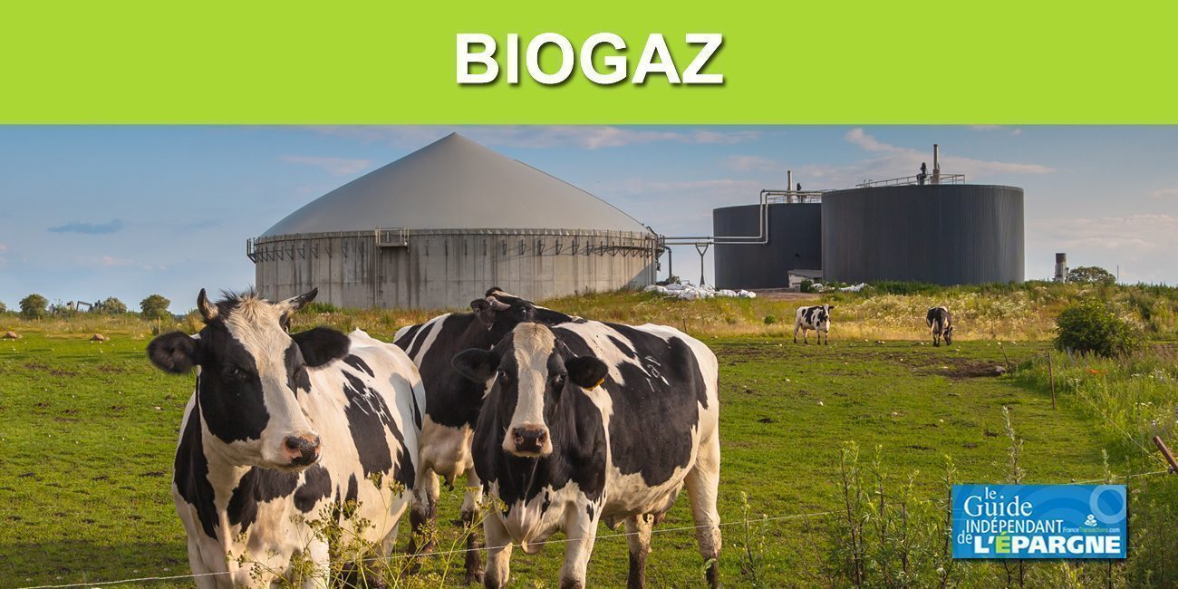 Biogaz : l'État continuera de soutenir son cours en l'achetant au prix fort Biogaz : l'État continuera de soutenir son cours en l'achetant au prix fort