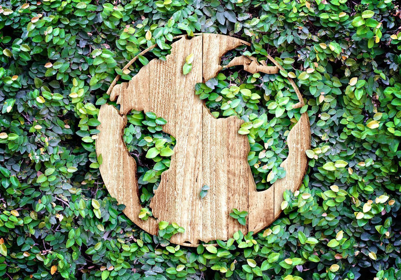 ONE PLANET SUMMIT : la biodiversité est notre assurance vie ONE PLANET SUMMIT : la biodiversité est notre assurance vie