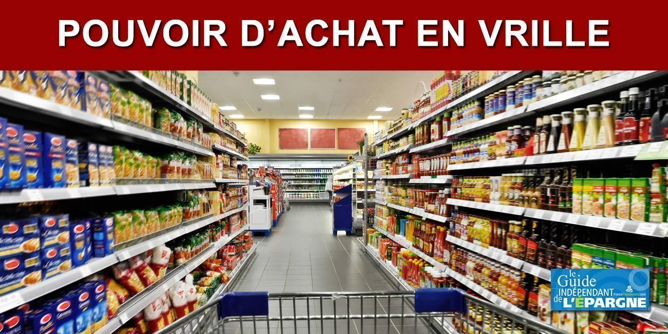 Pouvoir d'achat en chute : les jeunes et les ménages modestes sont à 5€ près pour faire leurs courses Pouvoir d'achat en chute : les jeunes et les ménages modestes sont à 5€ près pour faire leurs courses