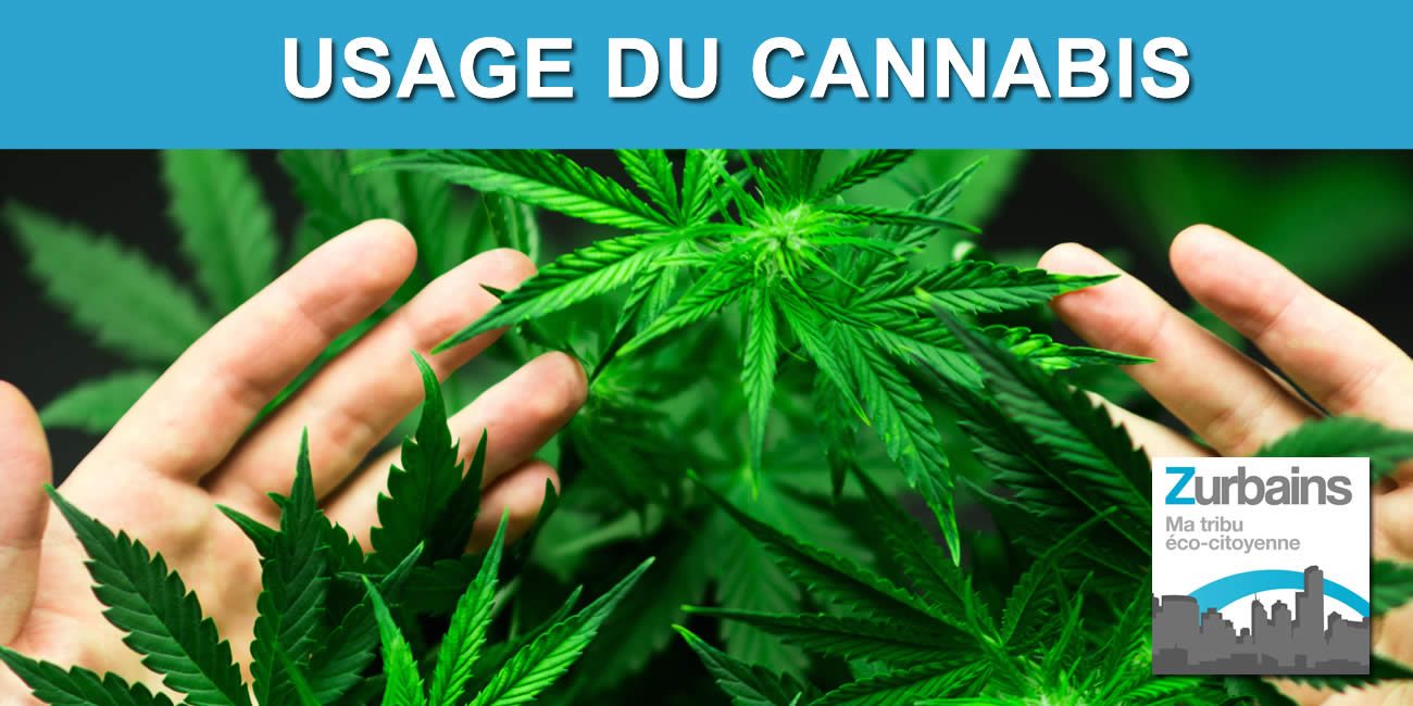 Le cannabis à usage récréatif bientôt légal en Allemagne Le cannabis à usage récréatif bientôt légal en Allemagne