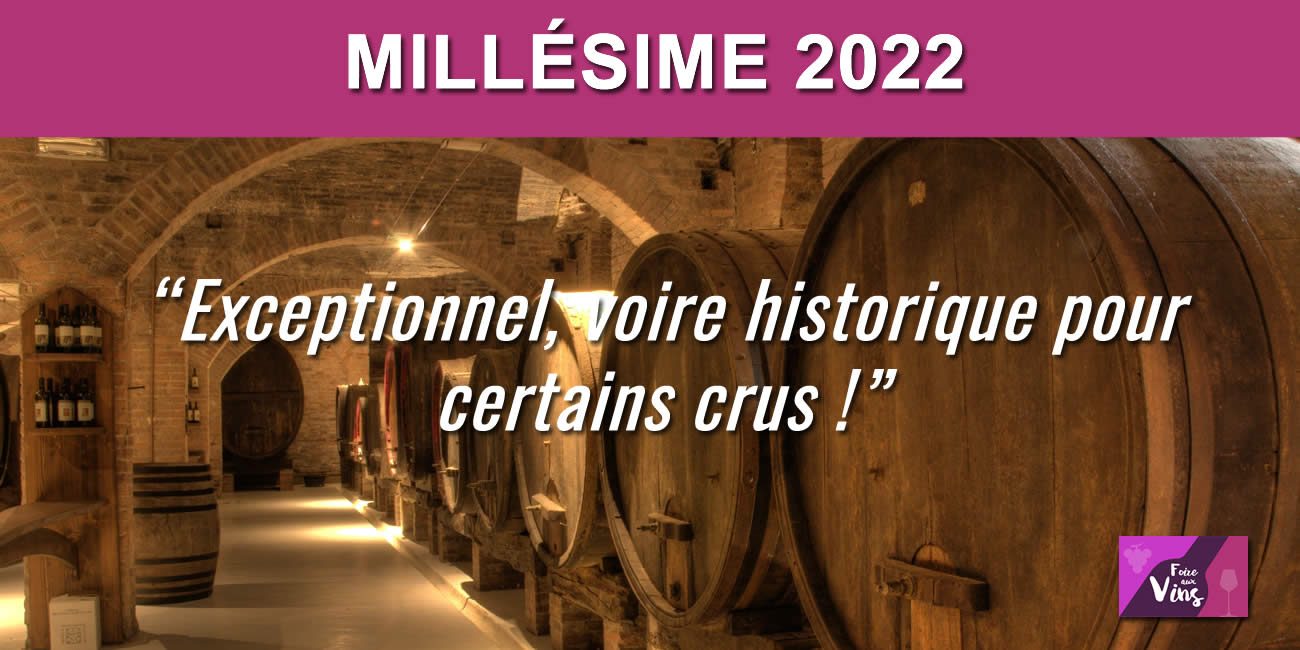 Vin : 2022 sera un millésime exceptionnel ! Comparable au millésime de 1947 ! Vin : 2022 sera un millésime exceptionnel ! Comparable au millésime de 1947 !