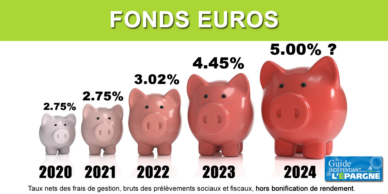 Découvrez les rendements 2024 des fonds euros : jusqu'à 6 % garanti !