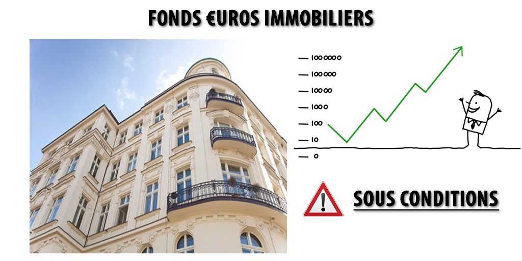 Fonds euros : misez sur les supports en euros immobilier !