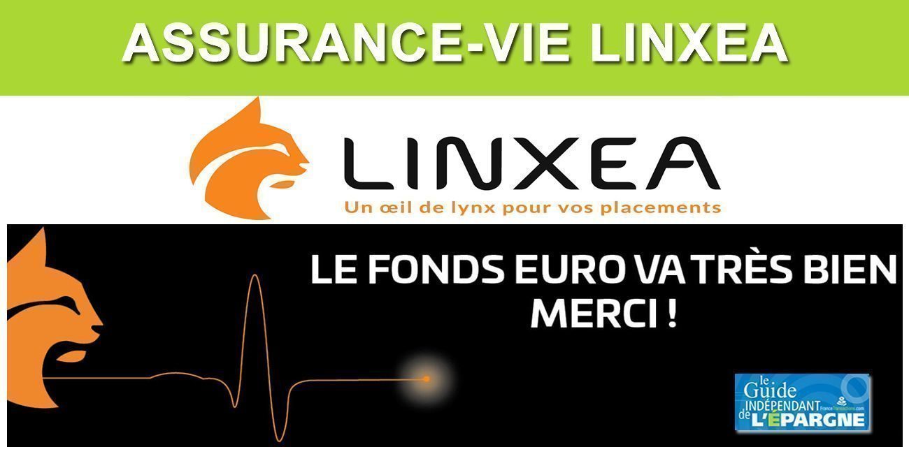 Assurance-Vie, Taux 2019, chez LINXEA, les fonds euros vont très bien !