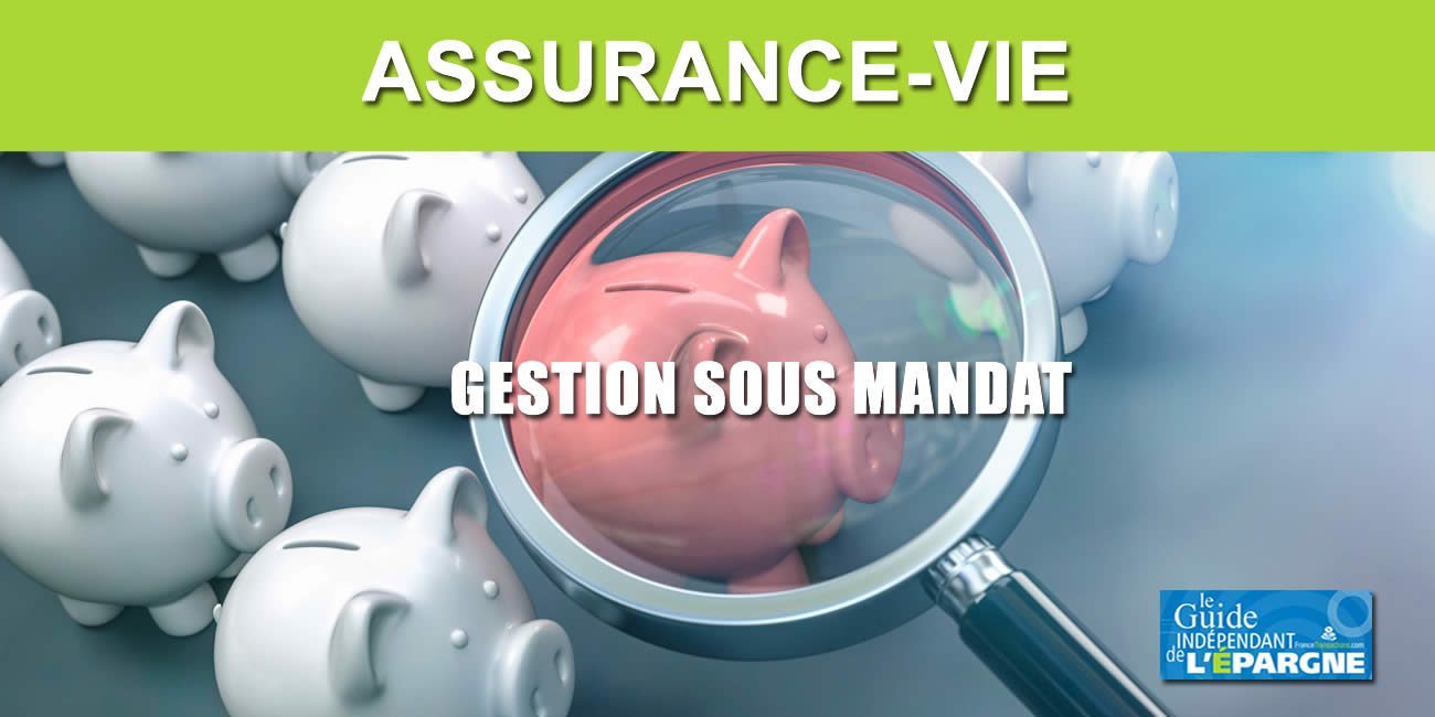 Assurance-Vie en gestion sous mandat : Meilleurtaux Allocation Vie, la grenouille qui veut se faire plus grosse que le bœuf ? Assurance-Vie en gestion sous mandat : Meilleurtaux Allocation Vie, la grenouille qui veut se faire plus grosse que le bœuf ?