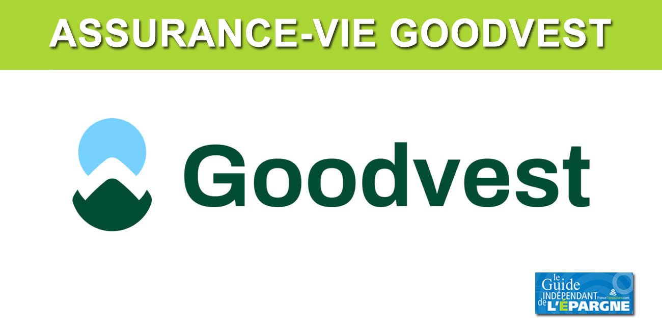 Assurance-vie / épargne responsable : Goodvest poursuit son fort développement et lève 2 millions d'euros Assurance-vie / épargne responsable : Goodvest poursuit son fort développement et lève 2 millions d'euros