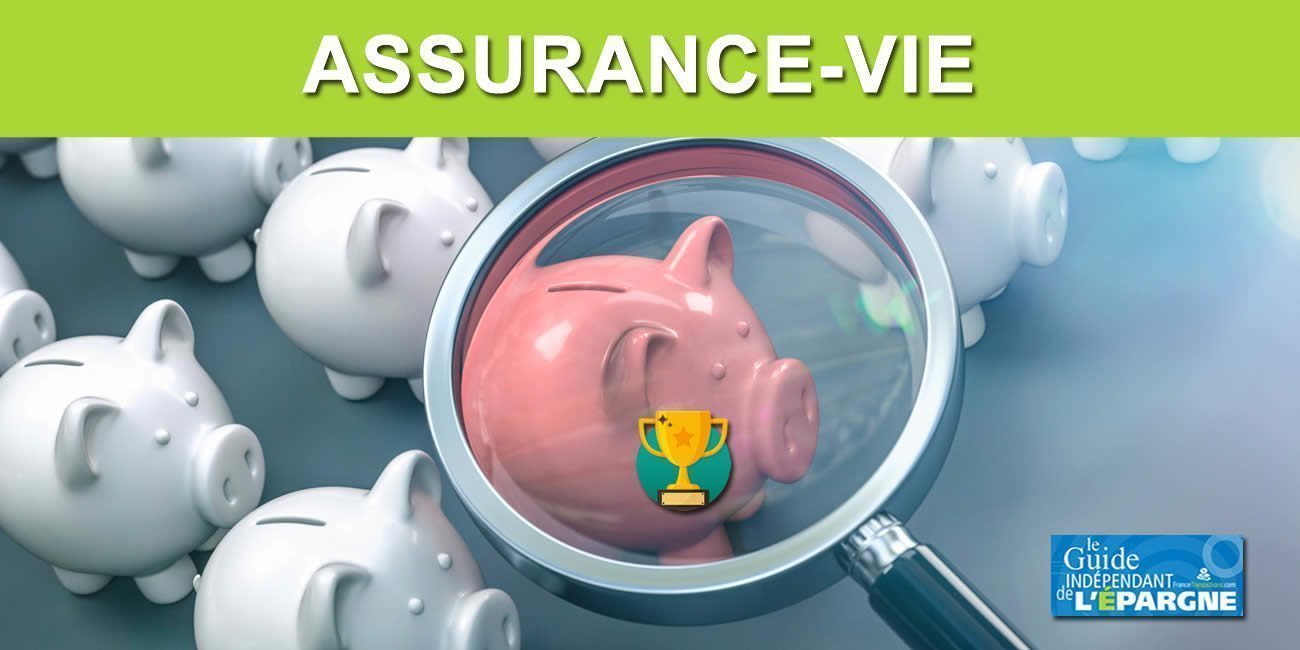 Assurance-Vie : Le Revenu a choisi ses 36 meilleurs contrats du marché Assurance-Vie : Le Revenu a choisi ses 36 meilleurs contrats du marché