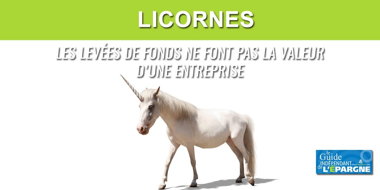 Objectif de 100 licornes en France en 2030 ? La valorisation des entreprises sur leurs levées de fonds n'a que peu de sens, un miroir aux alouettes ! Objectif de 100 licornes en France en 2030 ? La valorisation des entreprises sur leurs levées de fonds n'a que peu de sens, un miroir aux alouettes !