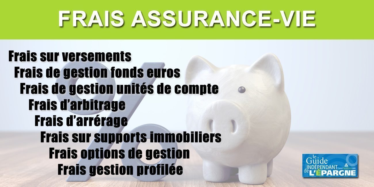 Frais assurance vie : un millefeuille à connaître, des frais du contrat aux frais des supports financiers Frais assurance vie : un millefeuille à connaître, des frais du contrat aux frais des supports financiers