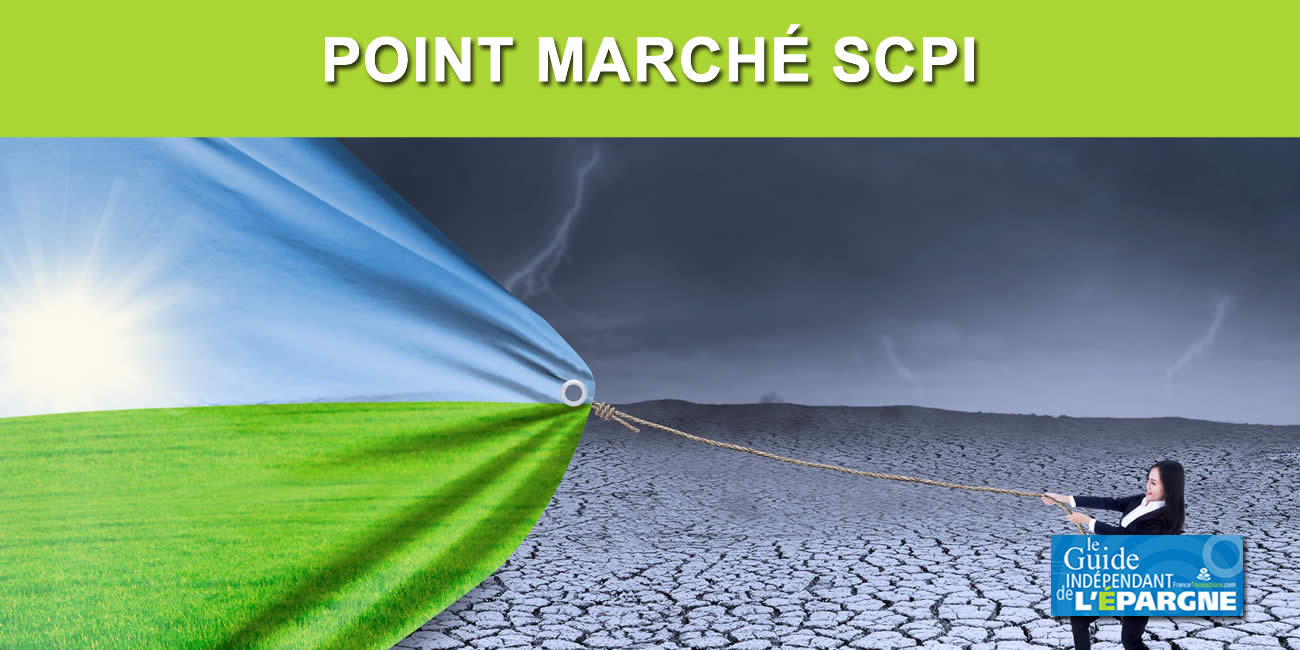 Le marché des SCPI toujours en courant alternatif au T3 2024 : chute de la collecte 49% et lancement de 14 nouvelles SCPI Le marché des SCPI toujours en courant alternatif au T3 2024 : chute de la collecte 49% et lancement de 14 nouvelles SCPI
