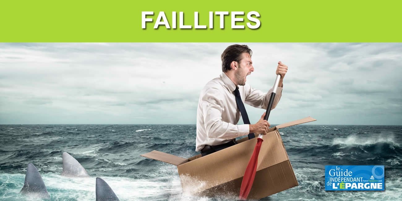 Défaillances et faillites d'entreprises en 2024 : un record de 15 ans, hausse de +23% des bénéficiaires du régime de garantie des salaires Défaillances et faillites d'entreprises en 2024 : un record de 15 ans, hausse de +23% des bénéficiaires du régime de garantie des salaires
