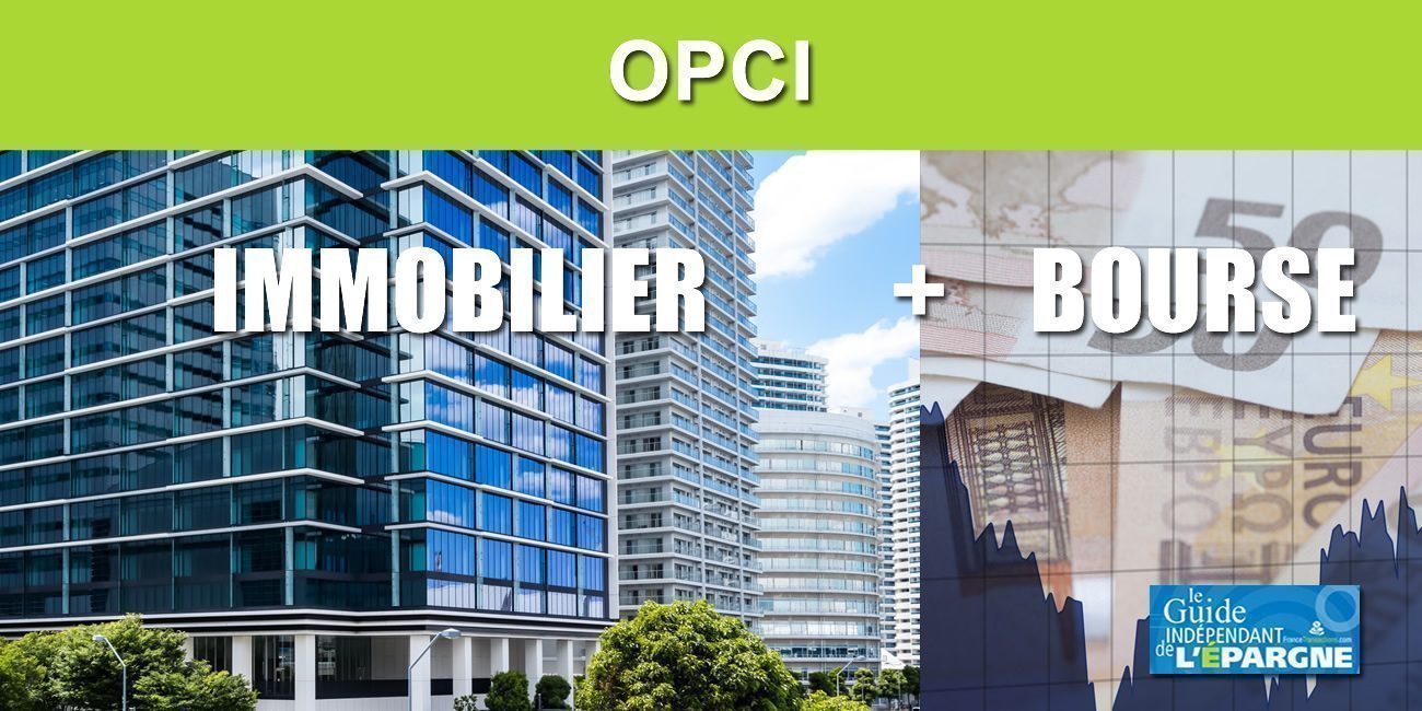 OPCI : des performances 2021 de nouveau attractives, mais les épargnants restent méfiants OPCI : des performances 2021 de nouveau attractives, mais les épargnants restent méfiants
