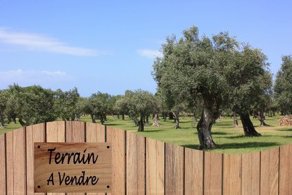 Immobilier : la spéculation sur le foncier va reprendre de plus belle Immobilier : la spéculation sur le foncier va reprendre de plus belle