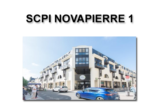 SCPI Novapierre 1 : acquisitions majeures de commerces pour 94 millions d'euros SCPI Novapierre 1 : acquisitions majeures de commerces pour 94 millions d'euros