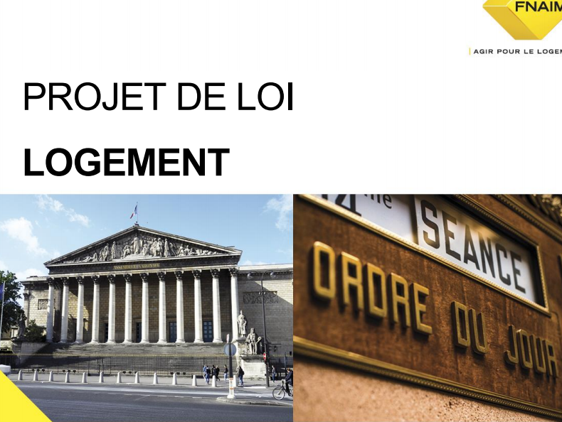 Projet Loi Logement, la FNAIM propose 30 mesures, le gouvernement disposera, ou pas Projet Loi Logement, la FNAIM propose 30 mesures, le gouvernement disposera, ou pas