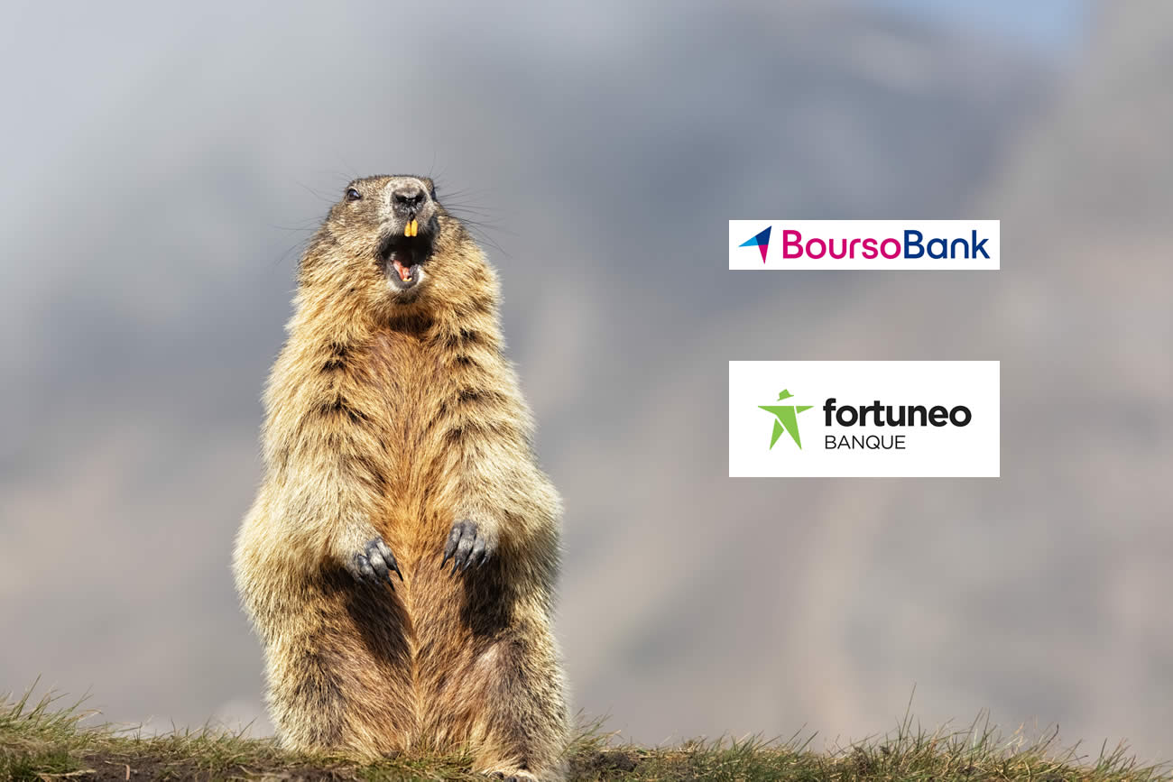 Banque la moins chère en 2024 : que dit la marmotte cette année ? encore Boursobank ? ou Fortuneo ? Banque la moins chère en 2024 : que dit la marmotte cette année ? encore Boursobank ? ou Fortuneo ?