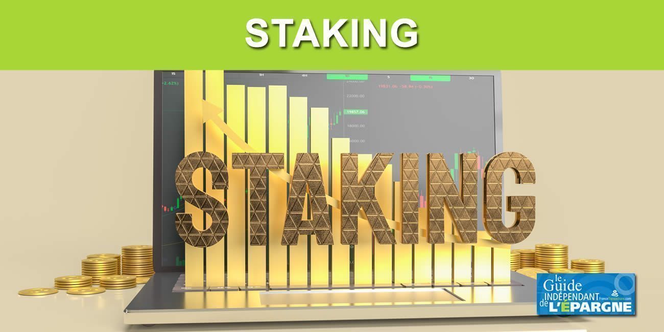 Bitpanda Staking : staker vos cryptomonnaies avec Bitpanda est désormais possible, un rendement non garanti Bitpanda Staking : staker vos cryptomonnaies avec Bitpanda est désormais possible, un rendement non garanti