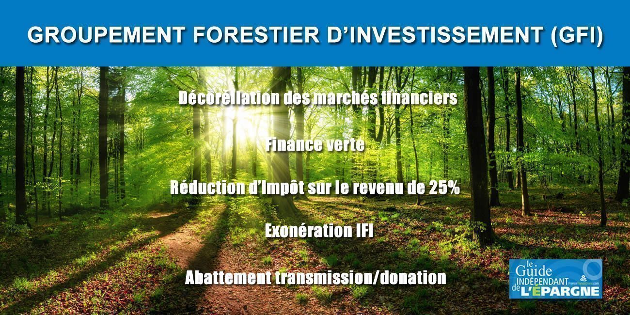 Groupement Forestier d'Investissement (GFI) : réduction d'impôt de nouveau majoré à 25% en 2023 Groupement Forestier d'Investissement (GFI) : réduction d'impôt de nouveau majoré à 25% en 2023