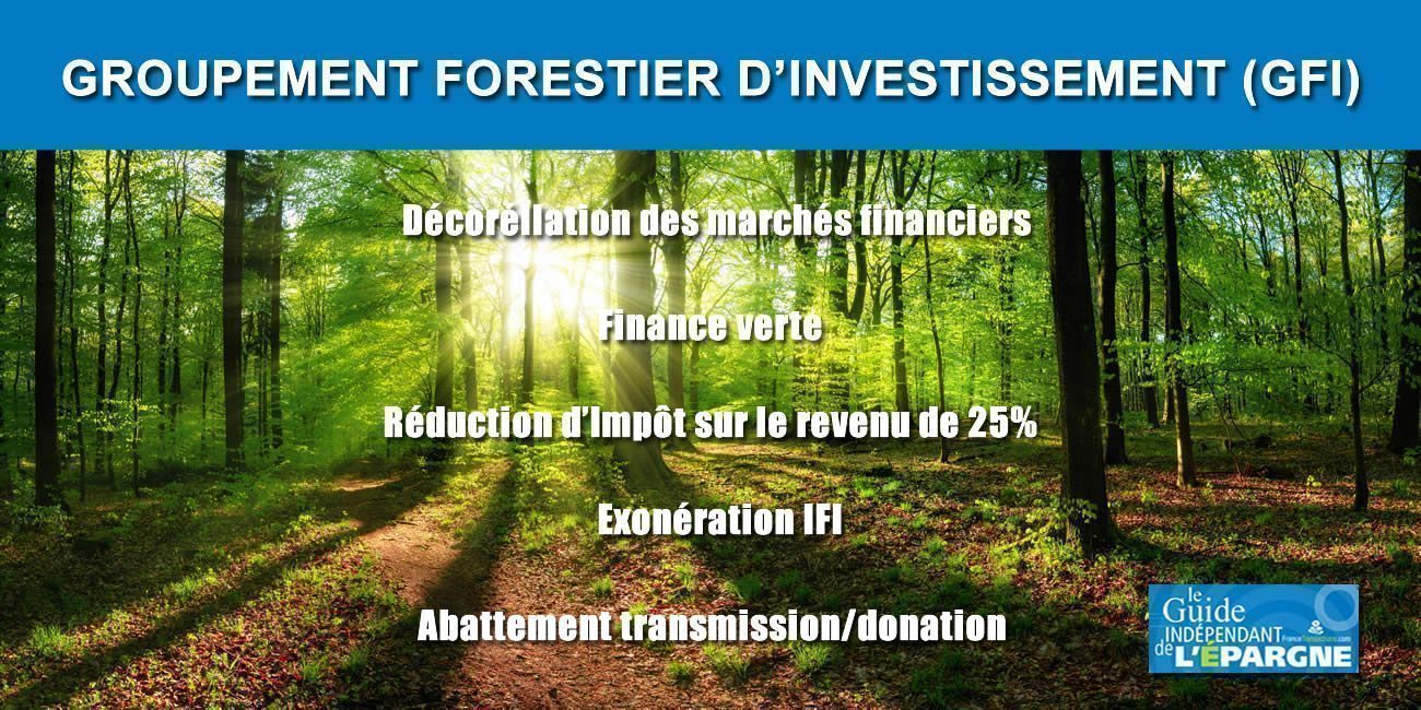 Groupement Forestier d'Investissement (GFI) : réduction d'impôt de nouveau majoré à 25% en 2023