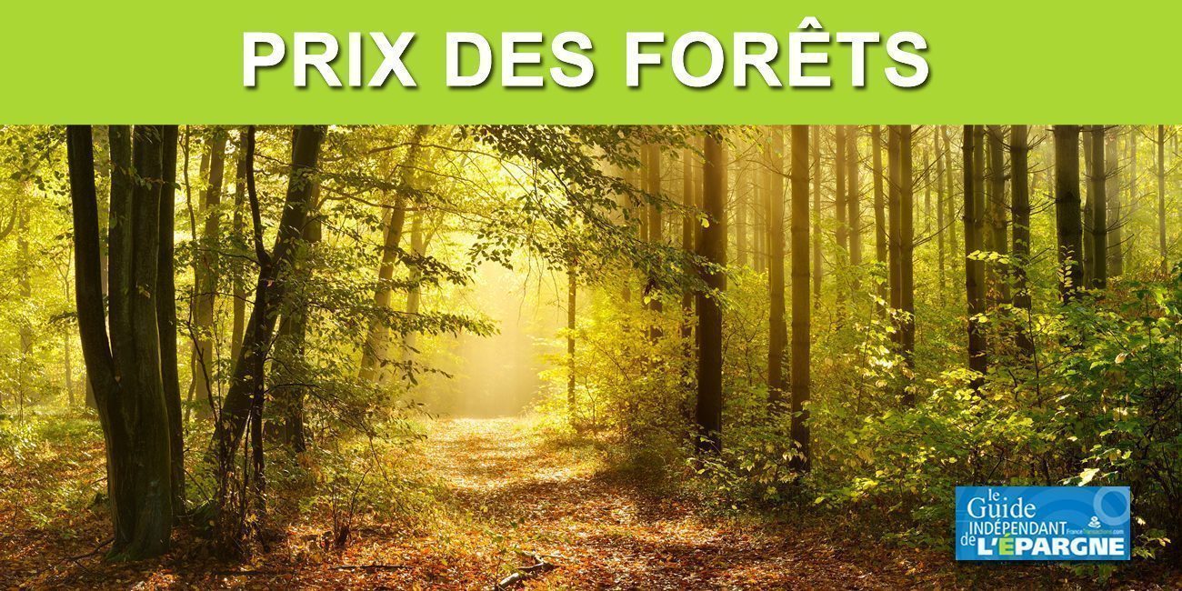 Forêts : forte hausse du prix du bois sur pied en 2021 de +34%