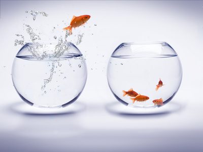 Banques traditionnelles : 38% des Français prêts à les quitter ! Banques traditionnelles : 38% des Français prêts à les quitter !