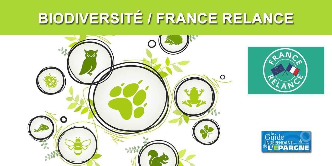 Restauration de la Biodiversité / France Relance : 38 projets soutenus, de la préservation de forêts à la restauration de berges de canaux