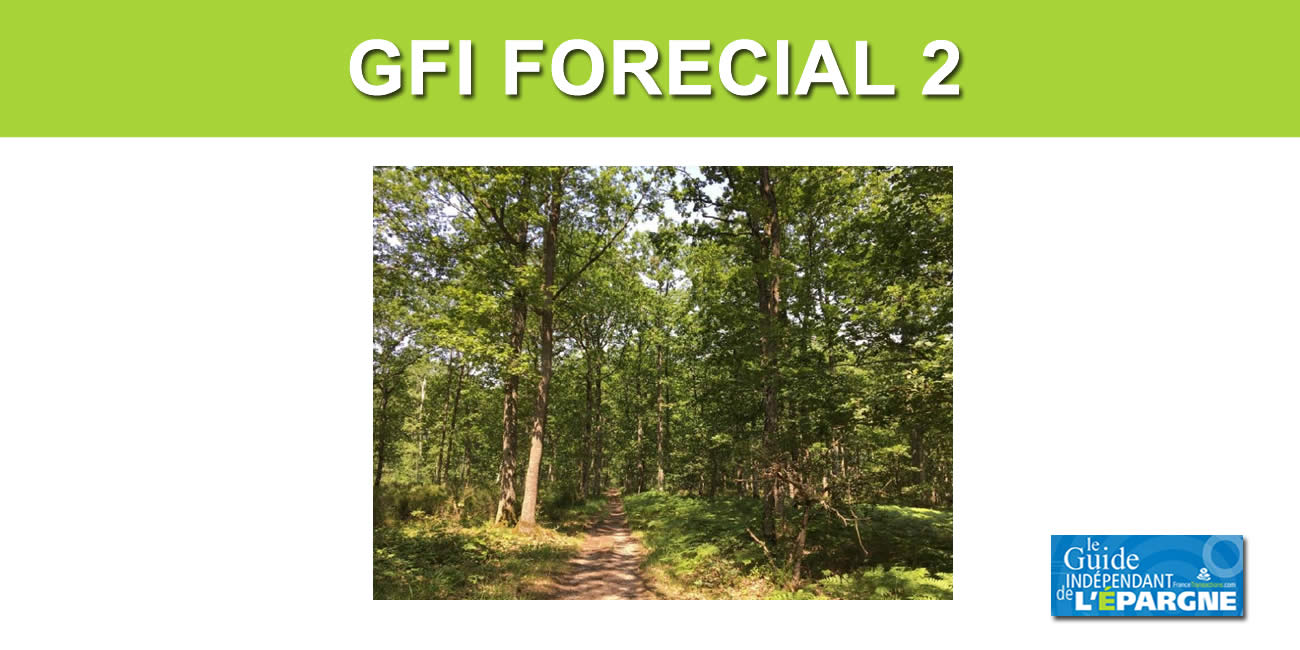 GFI FORECIAL 2 : acquisition d'une forêt de 45 hectares dans le Loiret