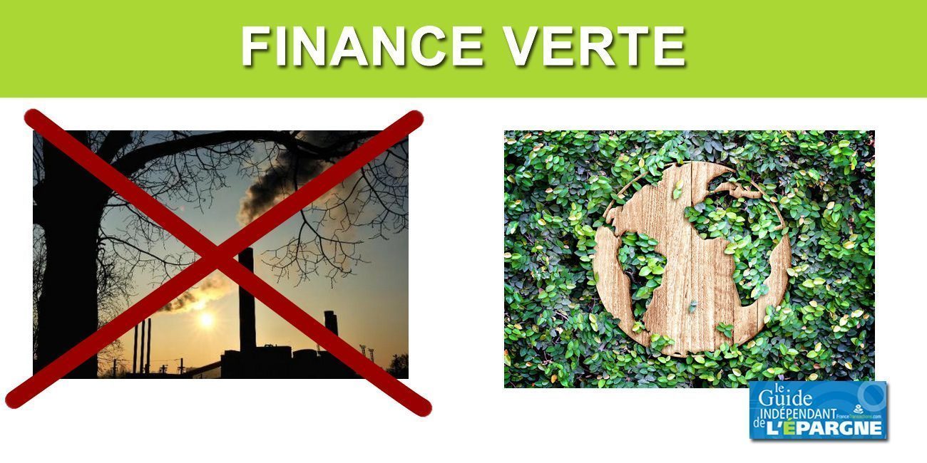 Finance verte : les épargnants veulent se mettre au vert, les professionnels tentent de suivre le mouvement Finance verte : les épargnants veulent se mettre au vert, les professionnels tentent de suivre le mouvement