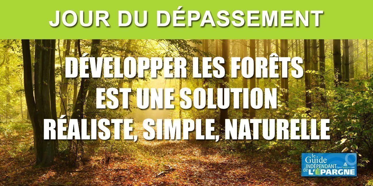 Finance verte / lutte contre le changement climatique : de l'importance d'orienter l'épargne vers la filière bois