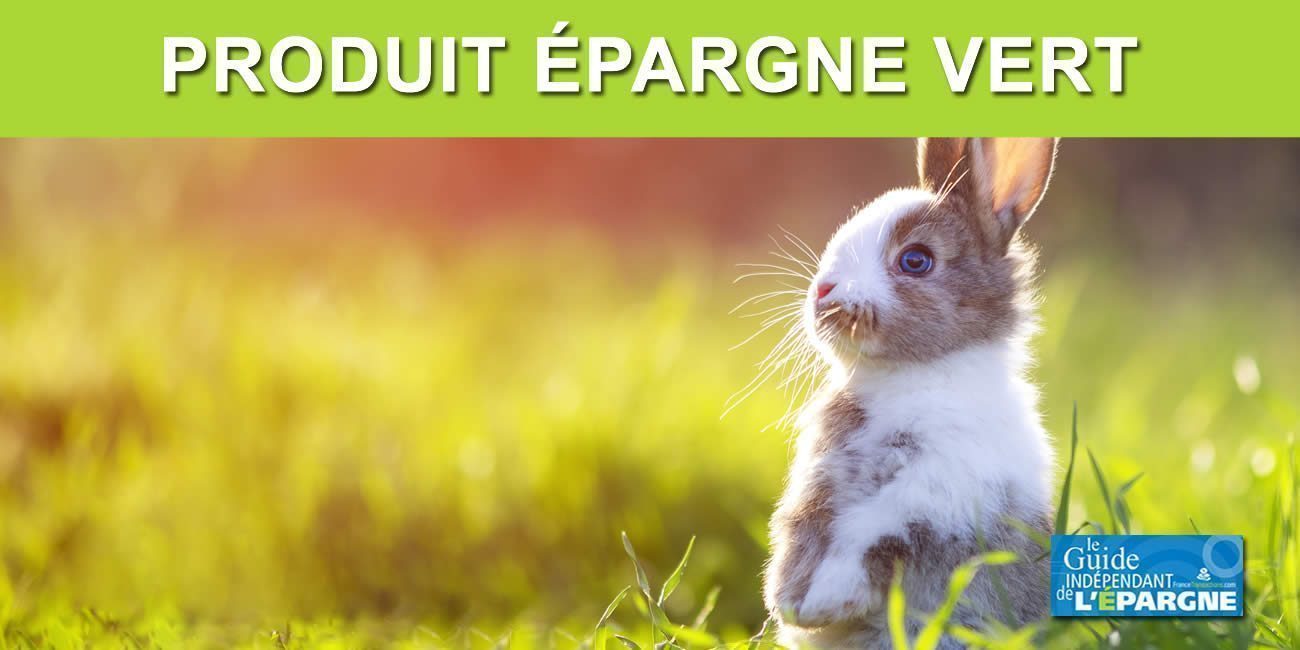 L'idée d'un livret épargne vert refait surface, Bruno Le Maire revient à la charge L'idée d'un livret épargne vert refait surface, Bruno Le Maire revient à la charge