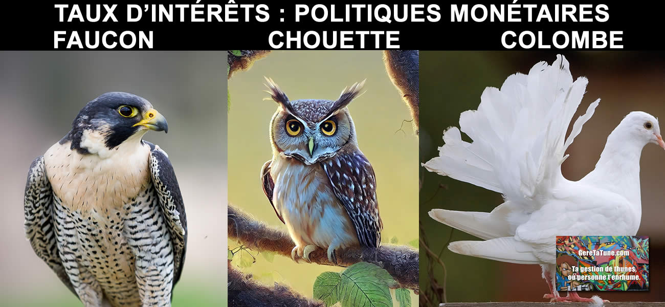 Taux de la BCE : ni faucon, ni colombe, la chouette de la BCE endort les pigeons européens Taux de la BCE : ni faucon, ni colombe, la chouette de la BCE endort les pigeons européens