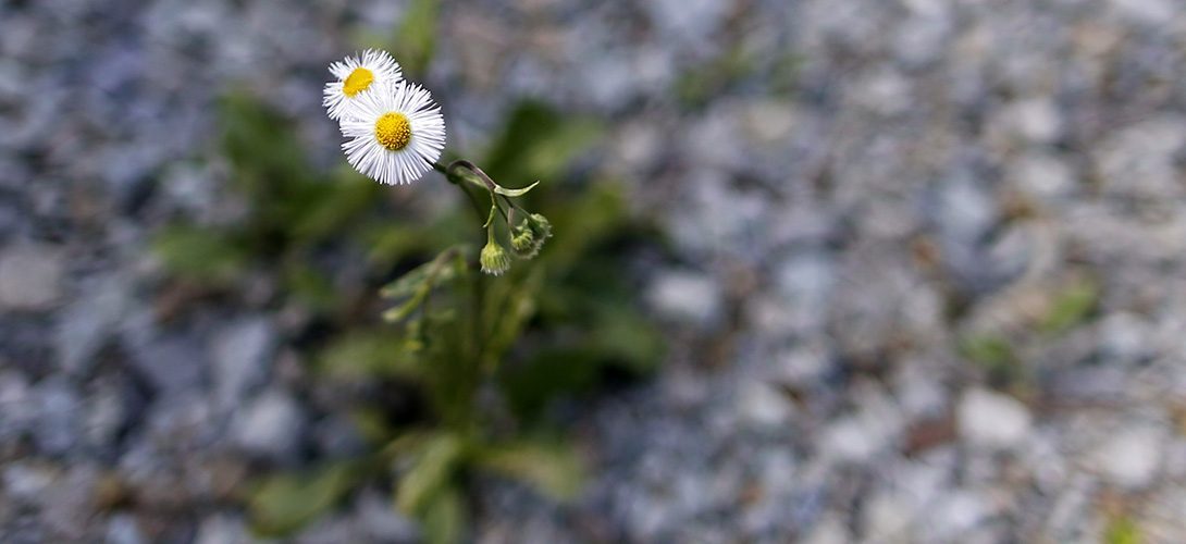 Economie : quelques raisons d'espérer... mais pas pour tout de suite ! Economie : quelques raisons d'espérer... mais pas pour tout de suite !
