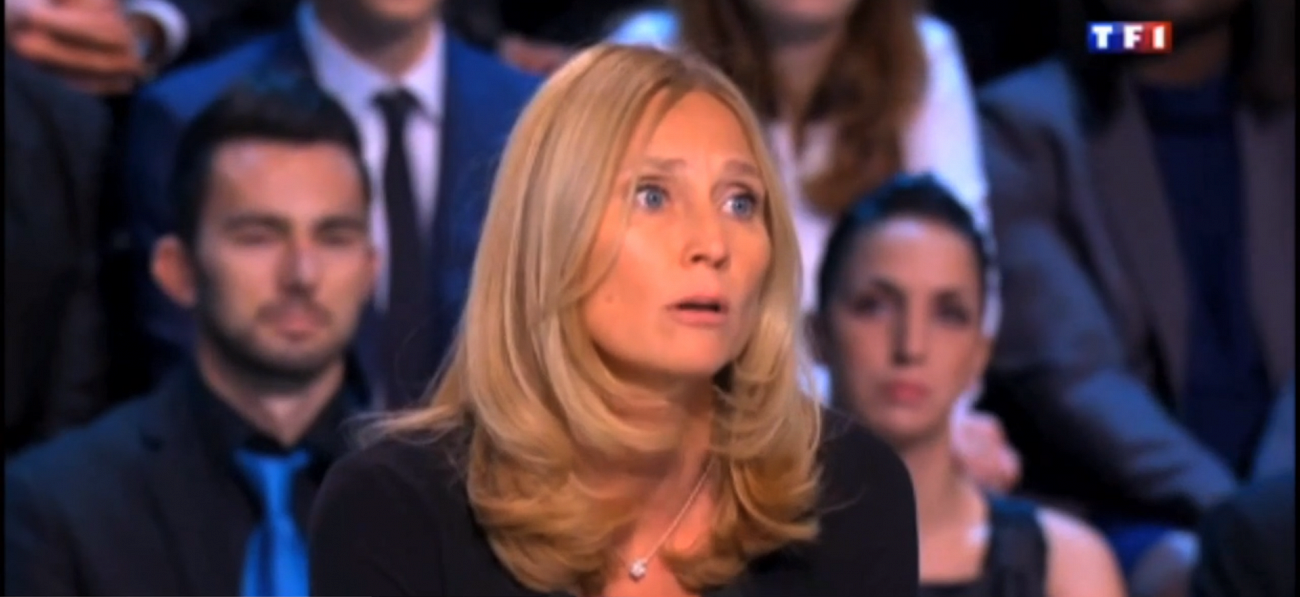 « Un pays n'est pas une entreprise », ou pourquoi la candidature de Karine Charbonnier peut encore attendre « Un pays n'est pas une entreprise », ou pourquoi la candidature de Karine Charbonnier peut encore attendre