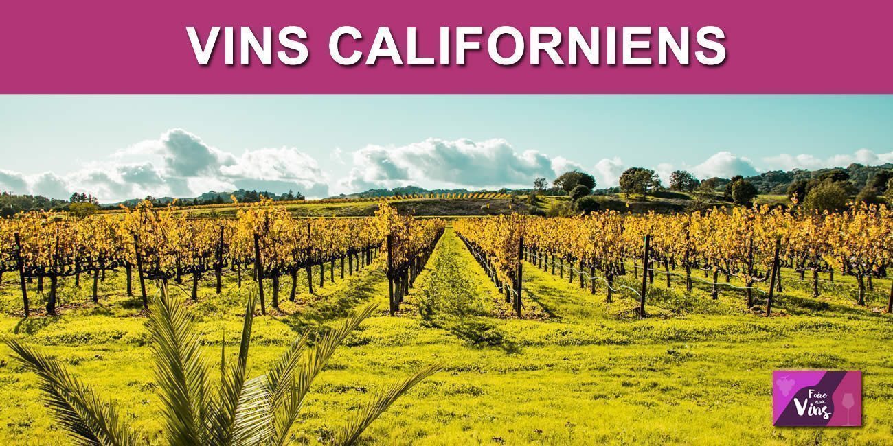 Vins californiens : les vignobles Paicines (526 hectares) changent de main Vins californiens : les vignobles Paicines (526 hectares) changent de main