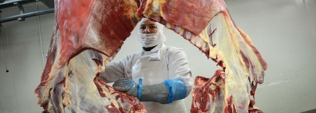 Viande avariée, asticots : les pratiques illégales de Castel Viandes mises à jour Viande avariée, asticots : les pratiques illégales de Castel Viandes mises à jour